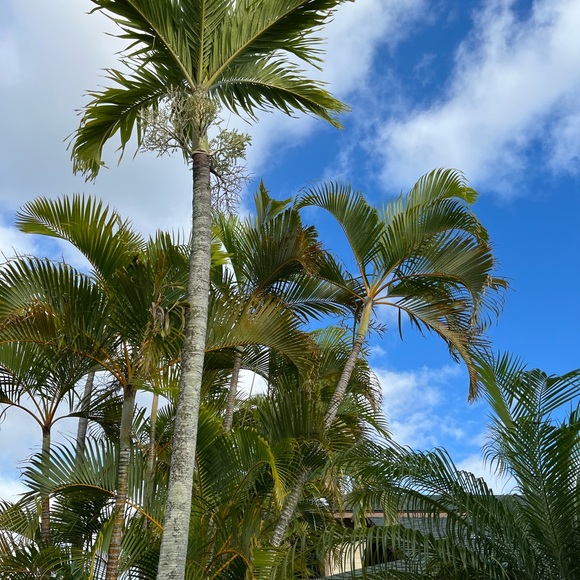 KMSCTE - Picture 3 of 14